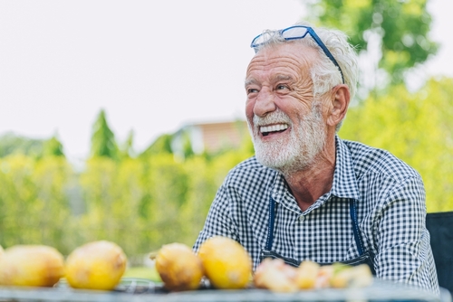 Denture Stabilization in Springfield, MA | Implant Denture Explained